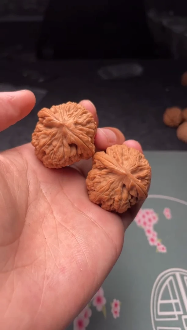 核桃a 295   莲花  36尺