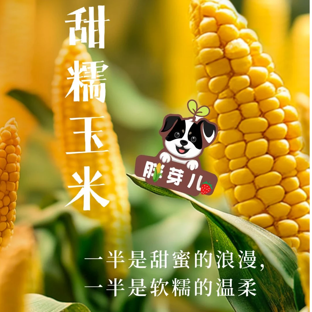 甜糯玉米220g/根、鲜食，香甜软糯，粒粒爆汁