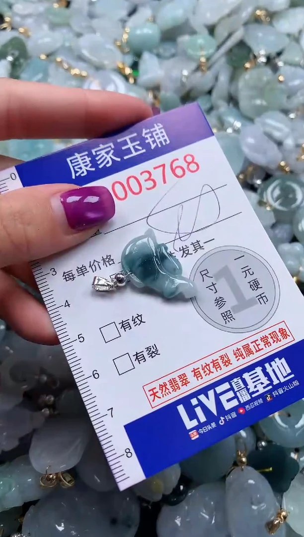 颈饰未镶嵌翡翠3768