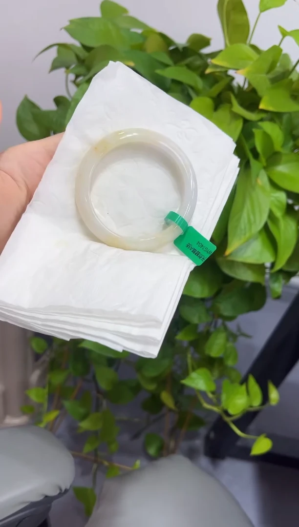 未镶嵌手镯翡翠0000022