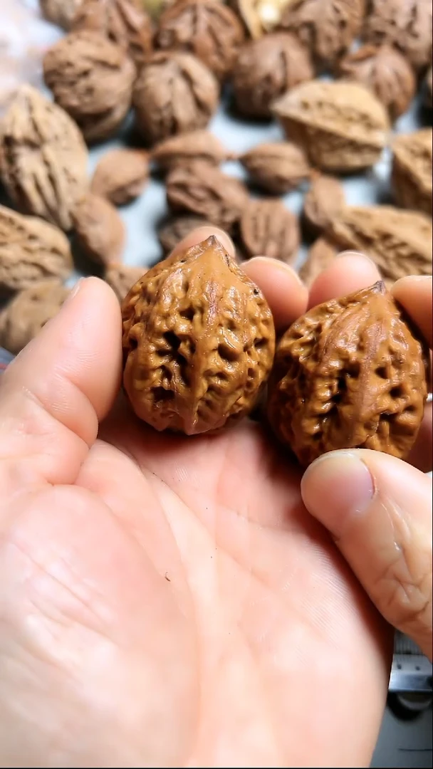 核桃东北野生大秋子1