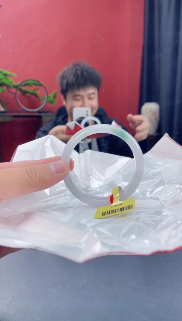 未镶嵌手镯翡翠15