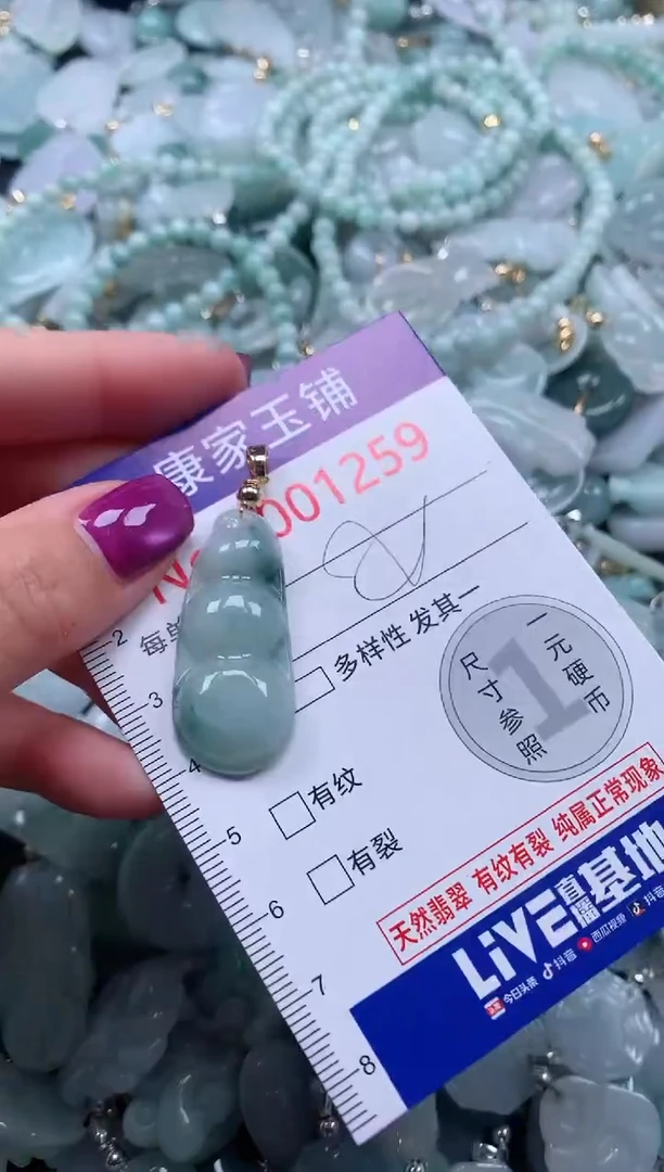 颈饰未镶嵌翡翠1259