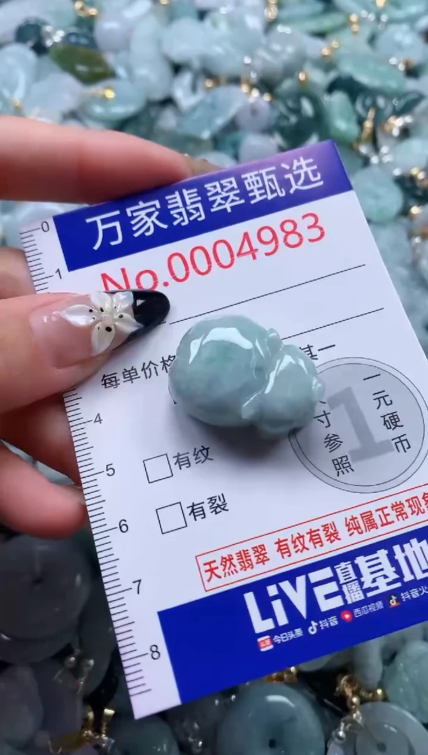 翡翠未镶嵌颈饰4983