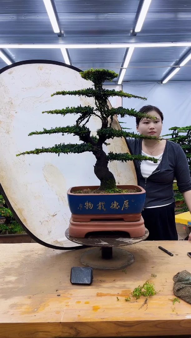 无花朵一物一拍，所见即所得