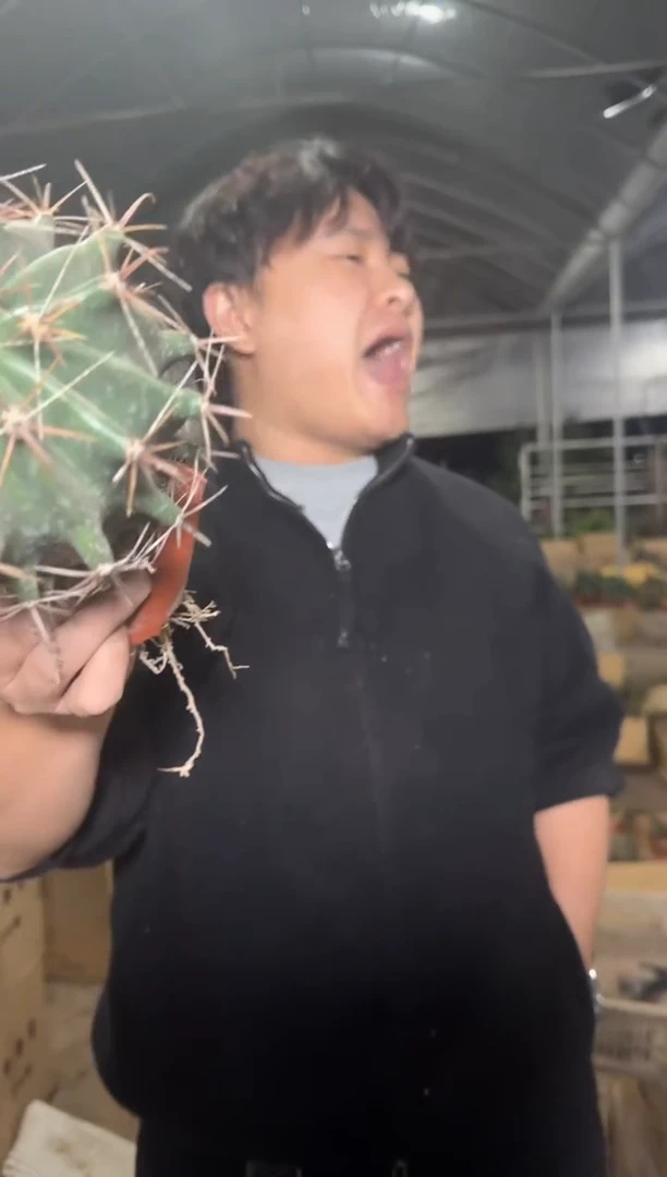 【实生根】  雎鸠玉