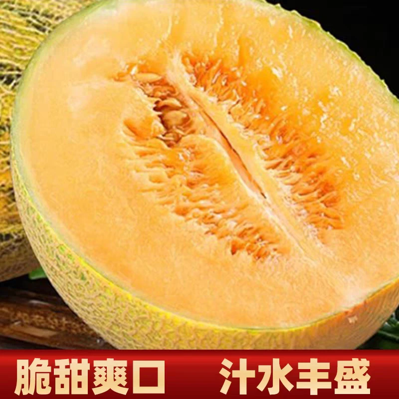 京东顺丰送货上门-新疆伽师瓜八六王新鲜应季水果皮薄脆甜多汁