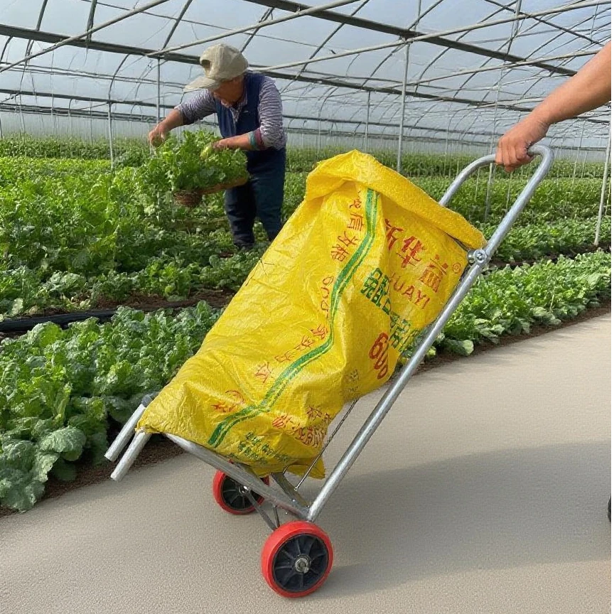 农用小推车多功能推车移动方便用于粮食灌装搬运加厚农用车