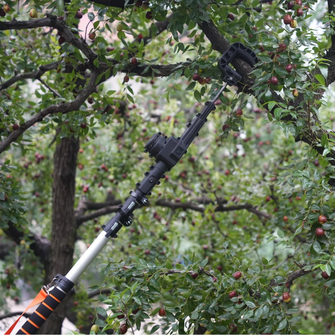 山茱萸高效新款电动采摘神器板栗桑葚桂花桂花核桃坚果长杆