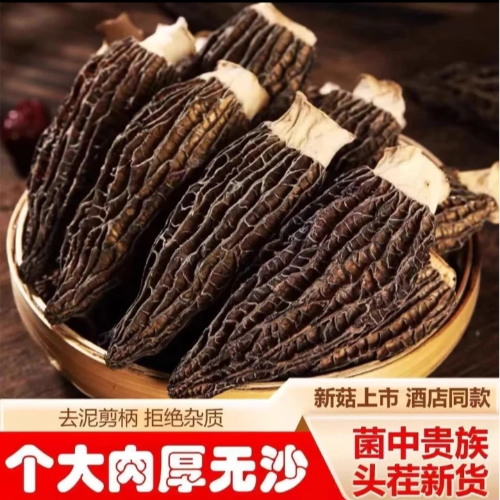 云南野-羊肚菌孕妇小孩老人都要吃营养价值高无硫熏羊肚菌