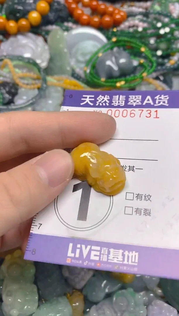 颈饰未镶嵌翡翠0006731