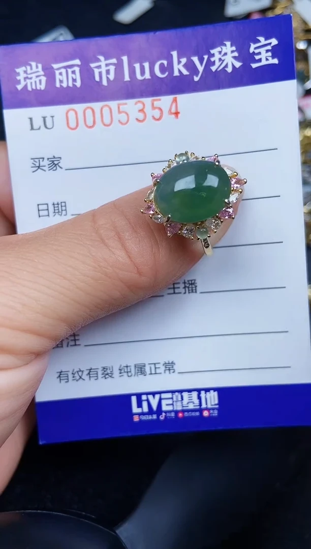 翡翠银S925镶嵌颈饰5354
