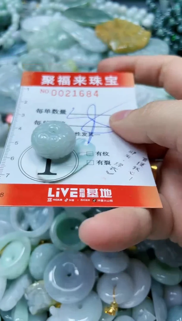 【闪购商品】翡翠颈饰未镶嵌闪购0021684