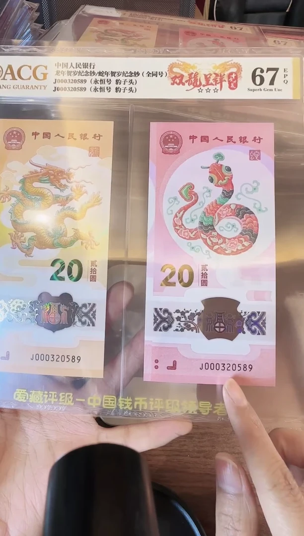 塑料2025龙蛇全同号一对啊啊啊啊爱藏
