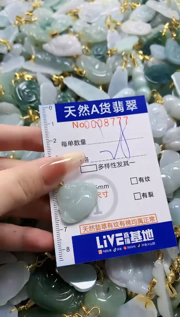 颈饰未镶嵌翡翠天然A货翡翠