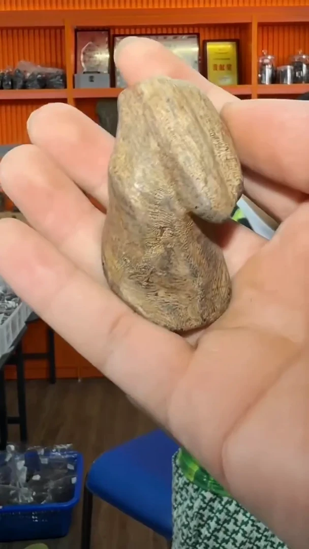 沉香手把件469号多样性发一