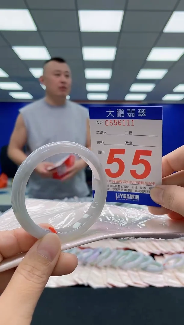 未镶嵌手镯翡翠AAAAAAAAA
