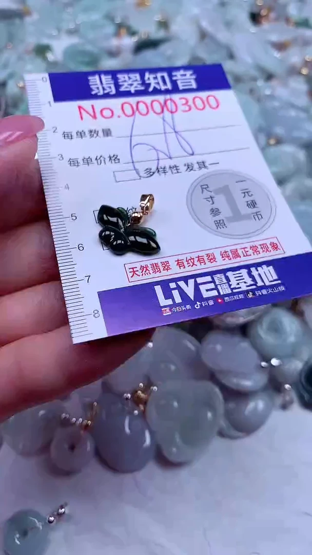 吊坠(不含链)未镶嵌翡翠300