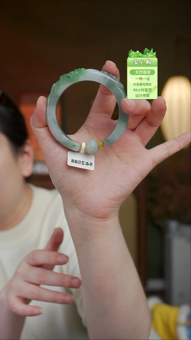 未镶嵌手镯翡翠54/55/2508