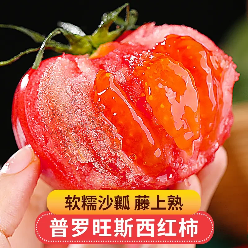 陕西泾阳普罗旺斯水果西红柿沙瓤多汁新鲜美味番茄净重3/4.5斤