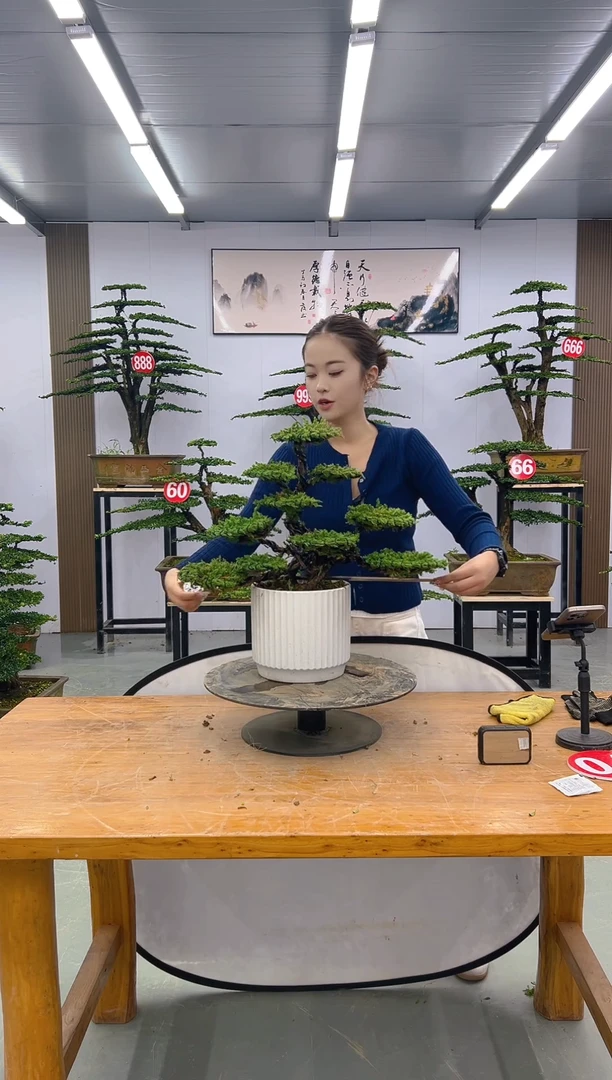 无花朵习*00000000000