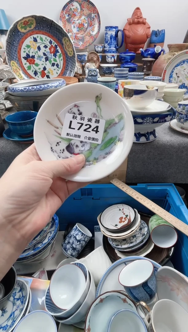 日式叁*默认微瑕秋羽L724