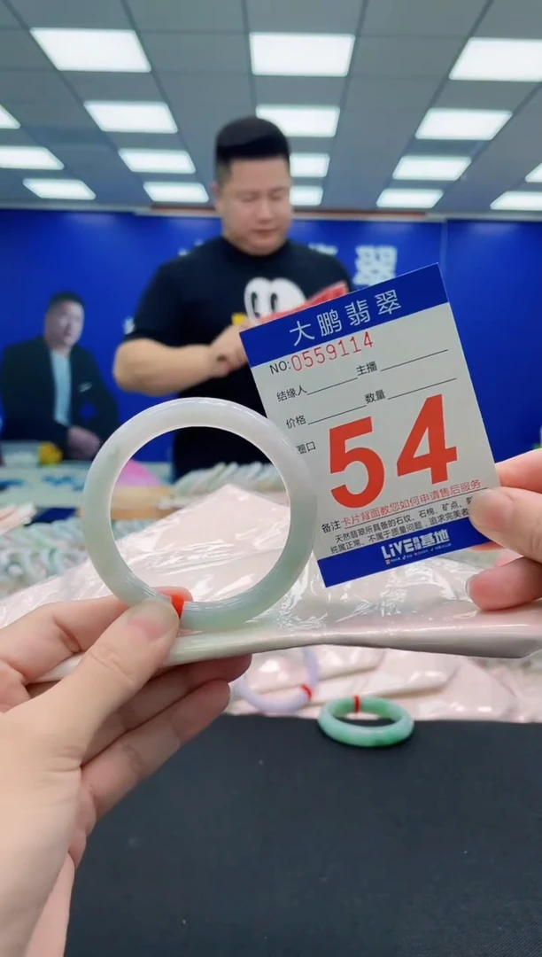 未镶嵌手镯翡翠AAAAAAAAA