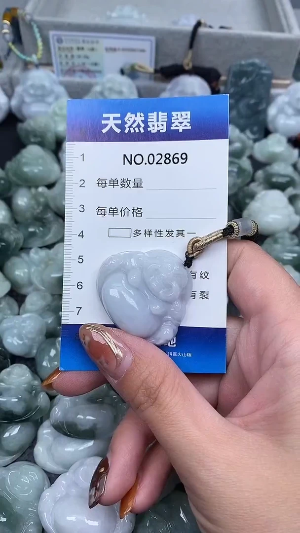 颈饰未镶嵌翡翠纯天然A货翡翠2869