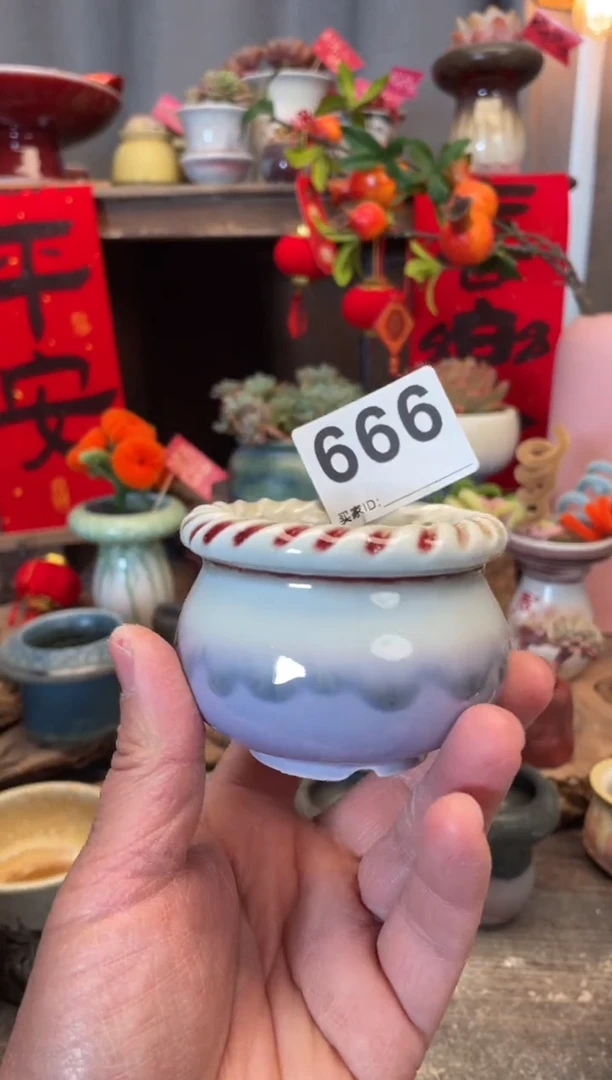 【闪购商品】摆件666知木小芳花盆