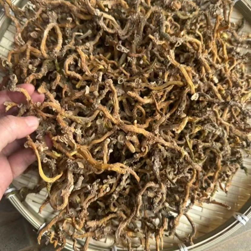 高山农家九节玉竹