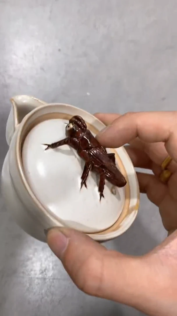 瓷片陶瓷茶具茶器