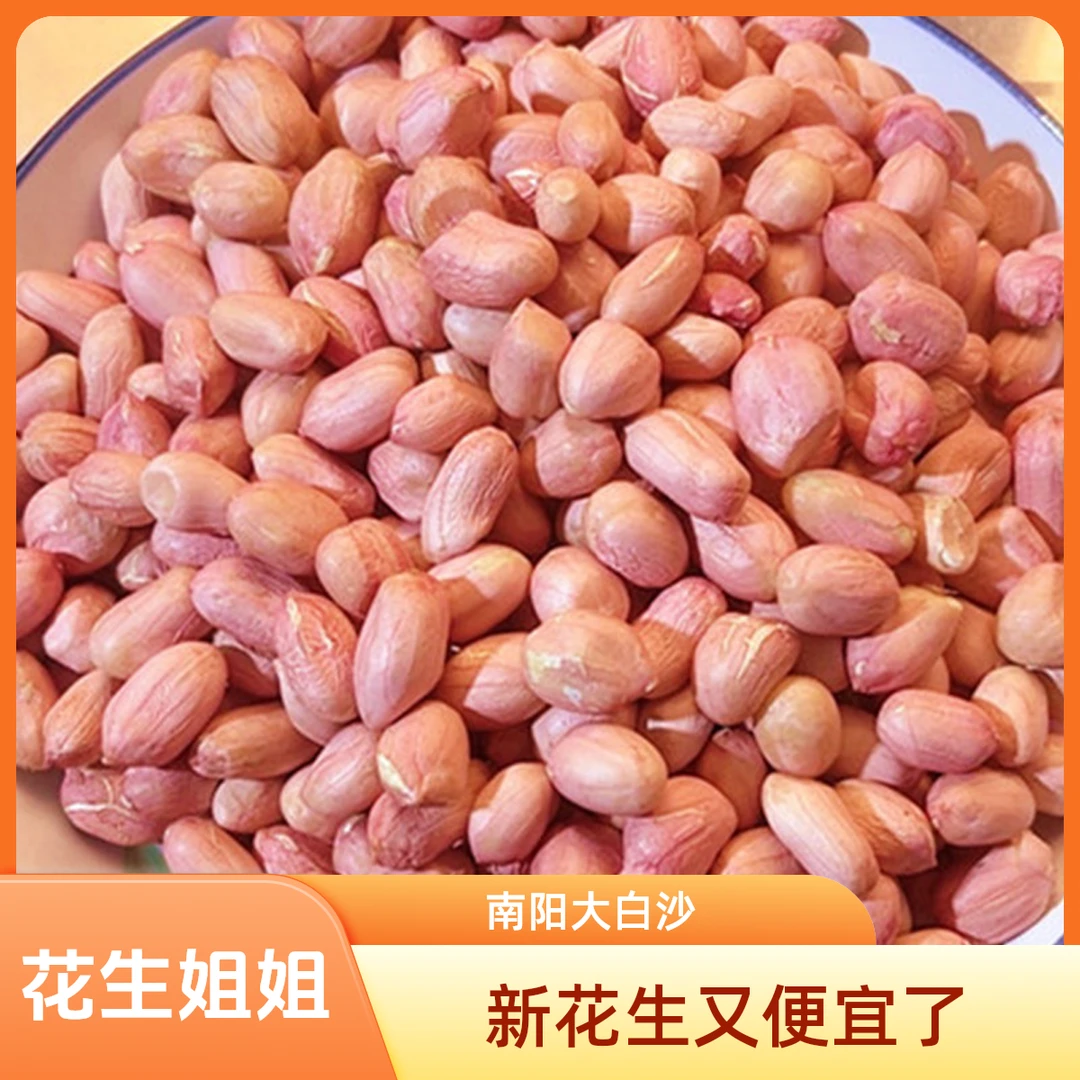 25年五斤三斤精选花生米大颗粒生花生新上市新鲜河南南阳大白沙
