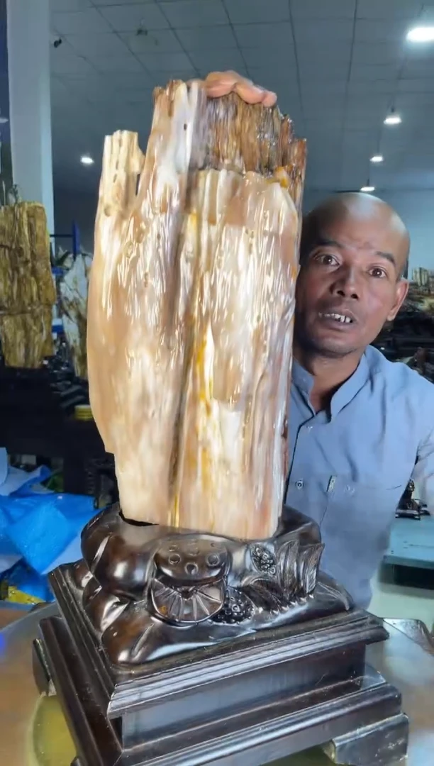 未镶嵌摆件硅化玉34