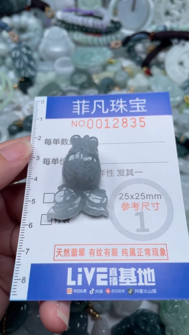 颈饰未镶嵌翡翠12835