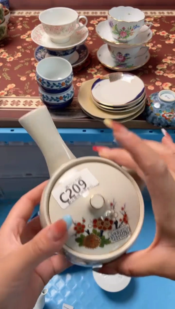 瓷片再****溅瓷器瓷器C209