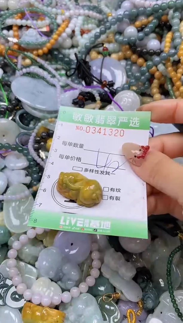颈饰未镶嵌翡翠闪购0341320