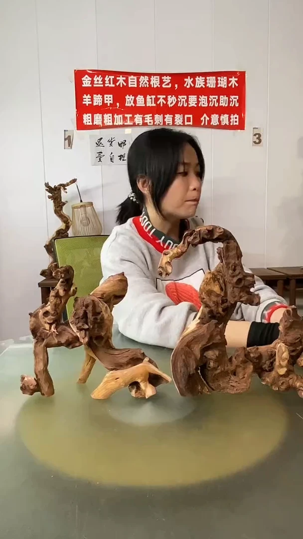 木青**修金丝红木 羊蹄甲2