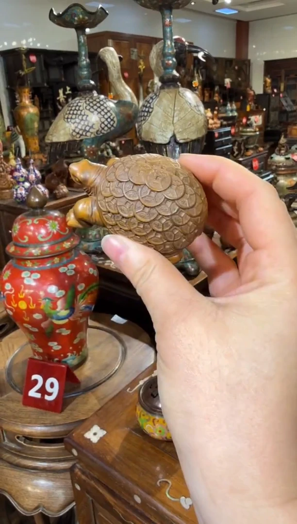 木黄杨木金钱龟68.8888