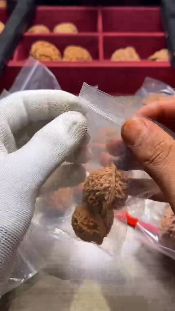文玩核桃把件盘龙纹+两个青皮29