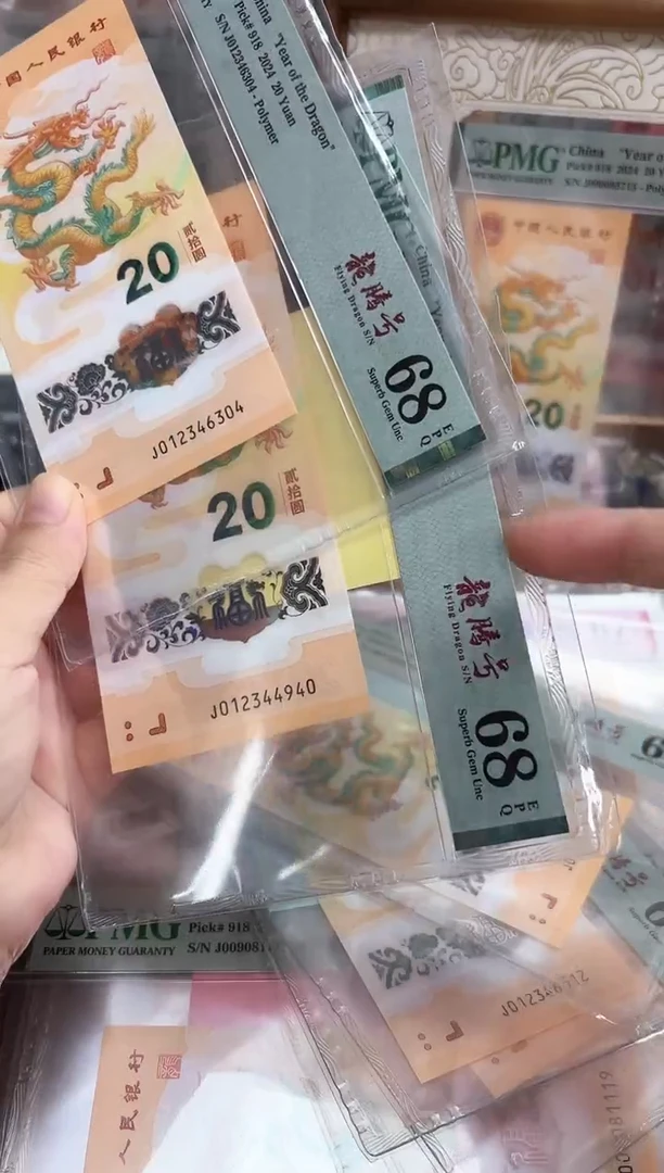 塑料24小龙钞龙腾号（4）-PMG68
