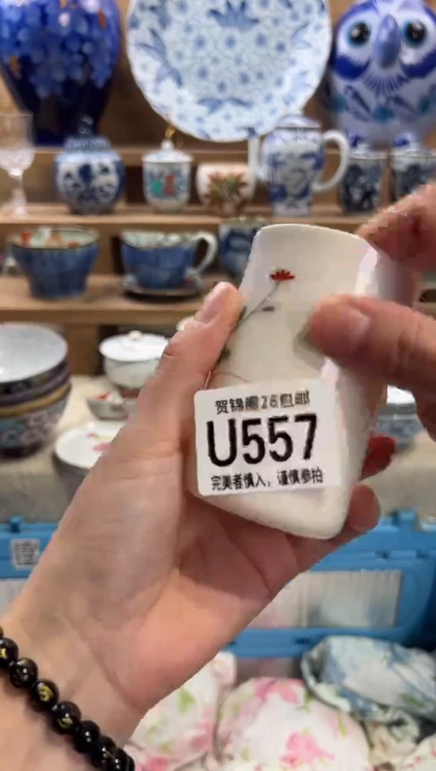 瓷片王*安满28米包邮 U557