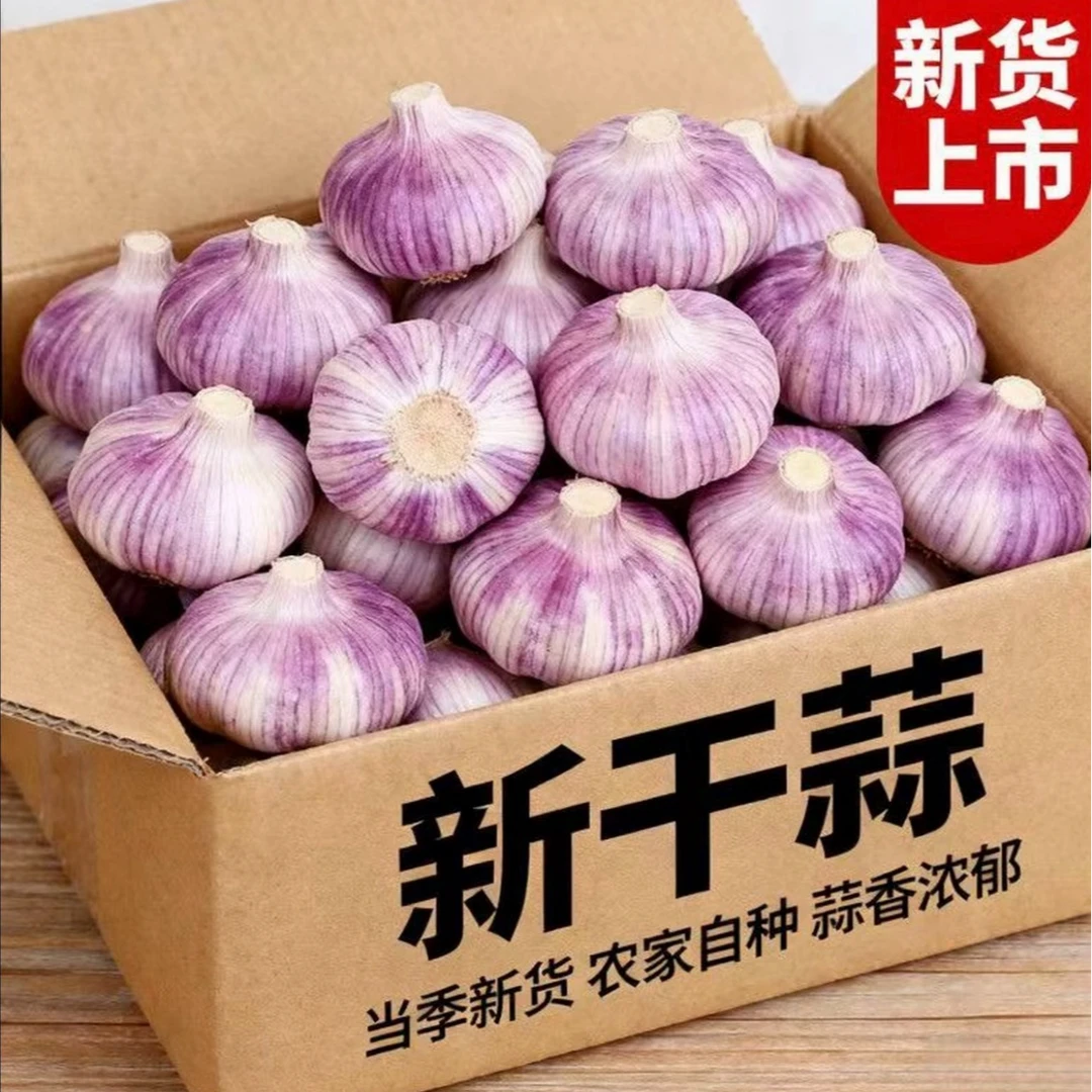 【2025新干蒜】新晒干蒜大蒜 蒜香浓郁辛辣十足 xslsny