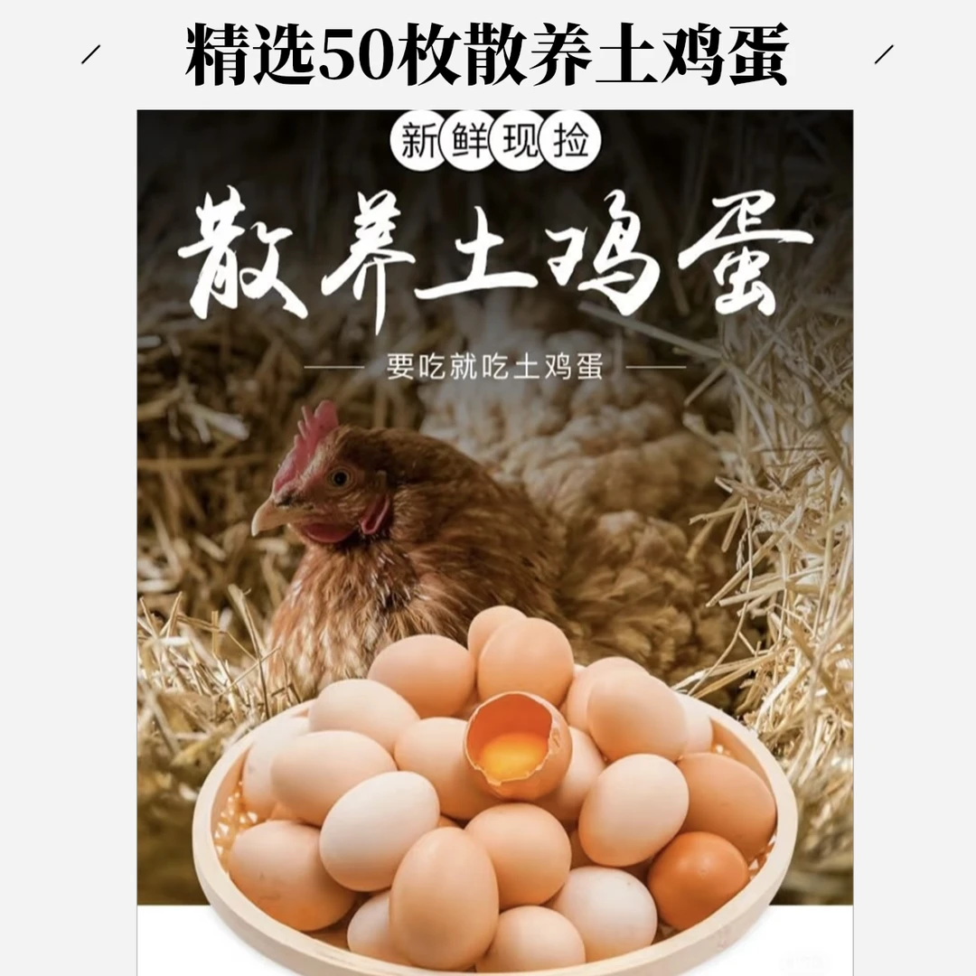 【精选50枚】新鲜土鸡蛋农家散养正宗营养柴蛋精品蛋破损包赔
