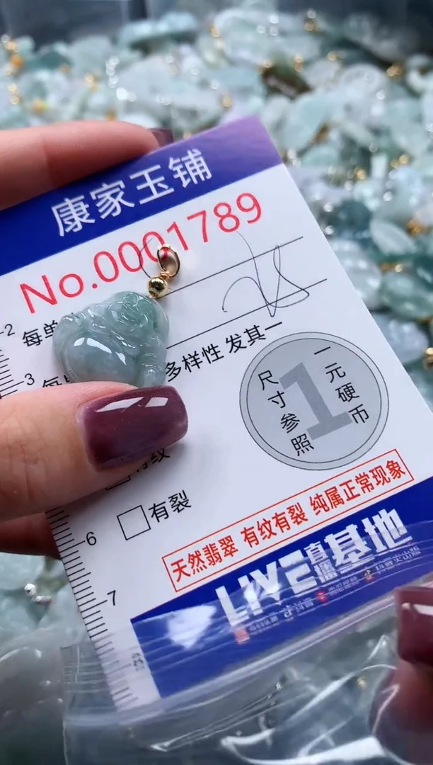 翡翠未镶嵌吊坠(不含链)1789