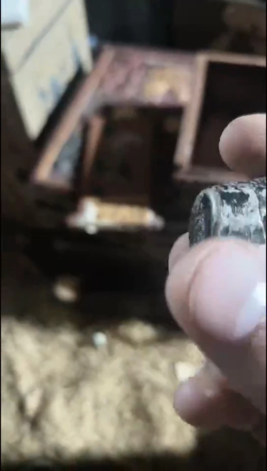 香榧木复利111111