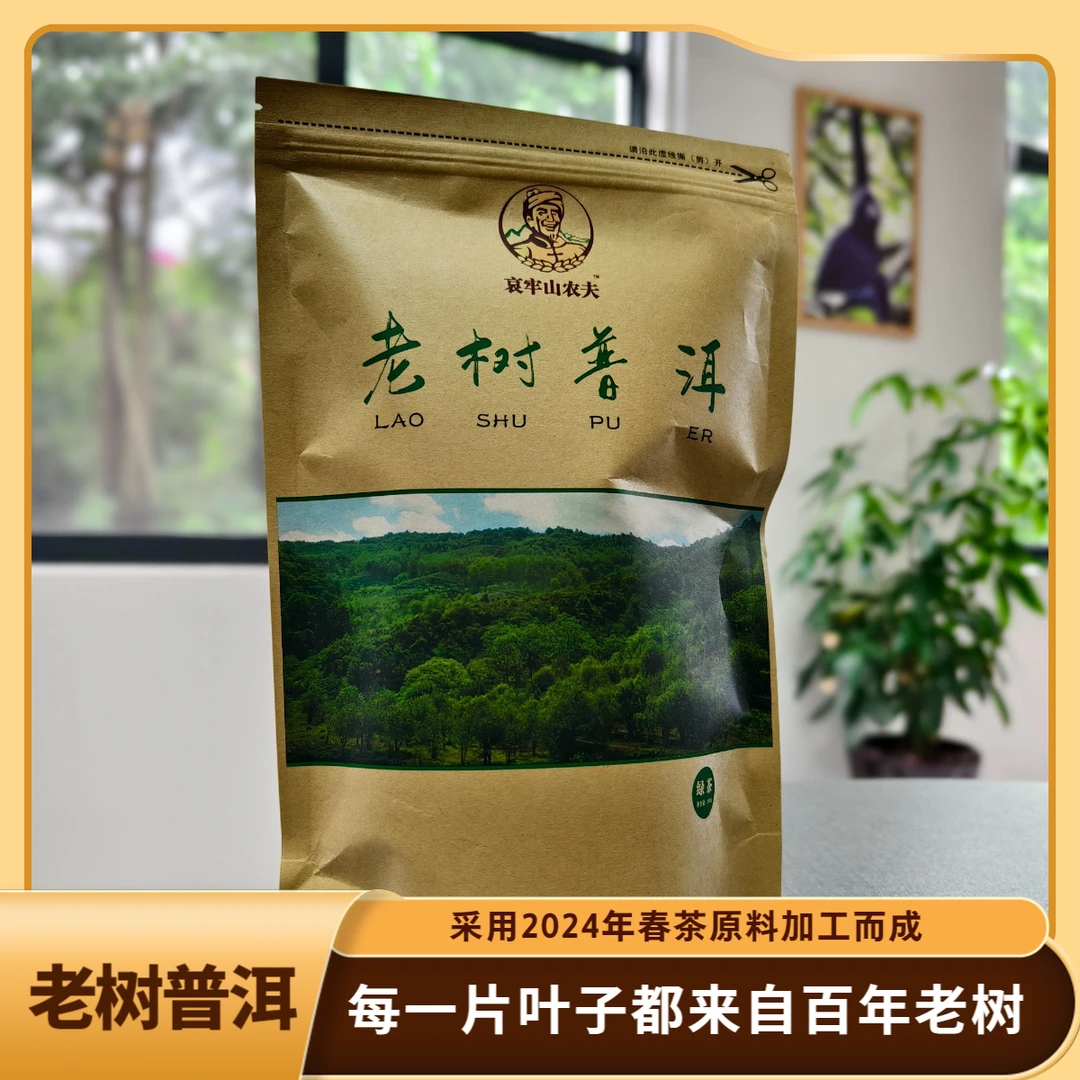 老树普洱春茶 200克/袋80克/罐/买三送一/买五送二/全国包邮