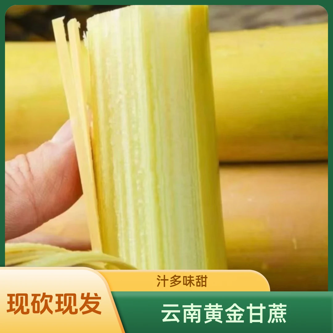 云南黄金甘蔗新鲜应季甘甜多汁黄皮农家现砍产地直发5/9斤包邮fg2
