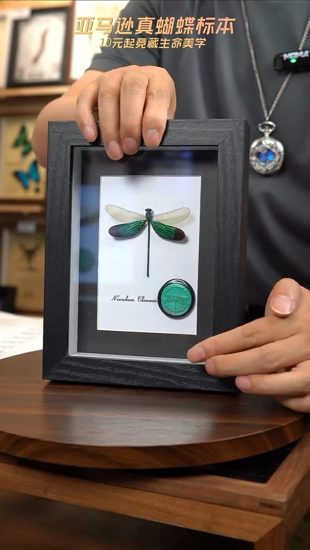 华艳色蟌火漆章版7寸黑框