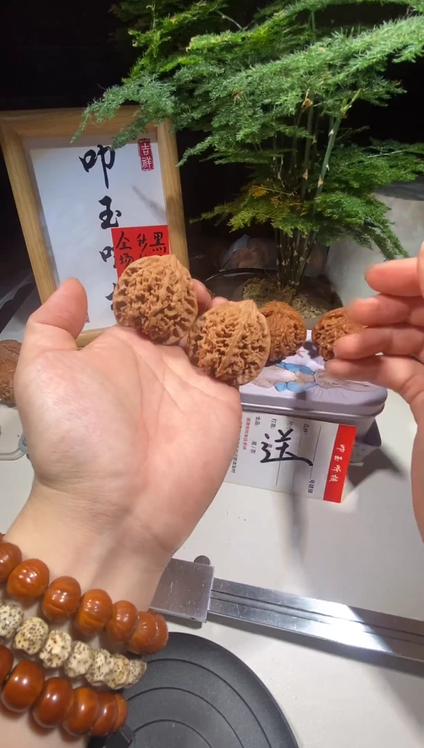 文玩核桃把件9号 45全品百花山狮子头满天星