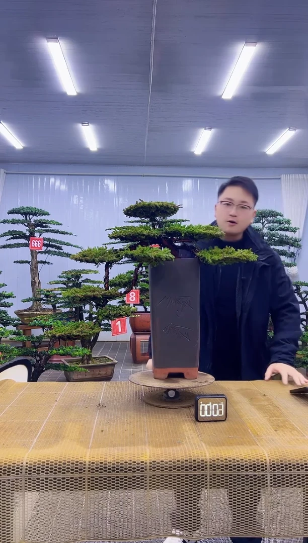 无花朵000000000000000000000000